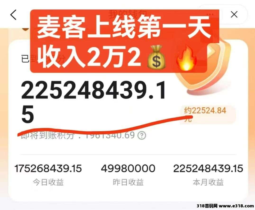 【麦客】稳定干3年，全程带你搞钱，进群天天领福利！