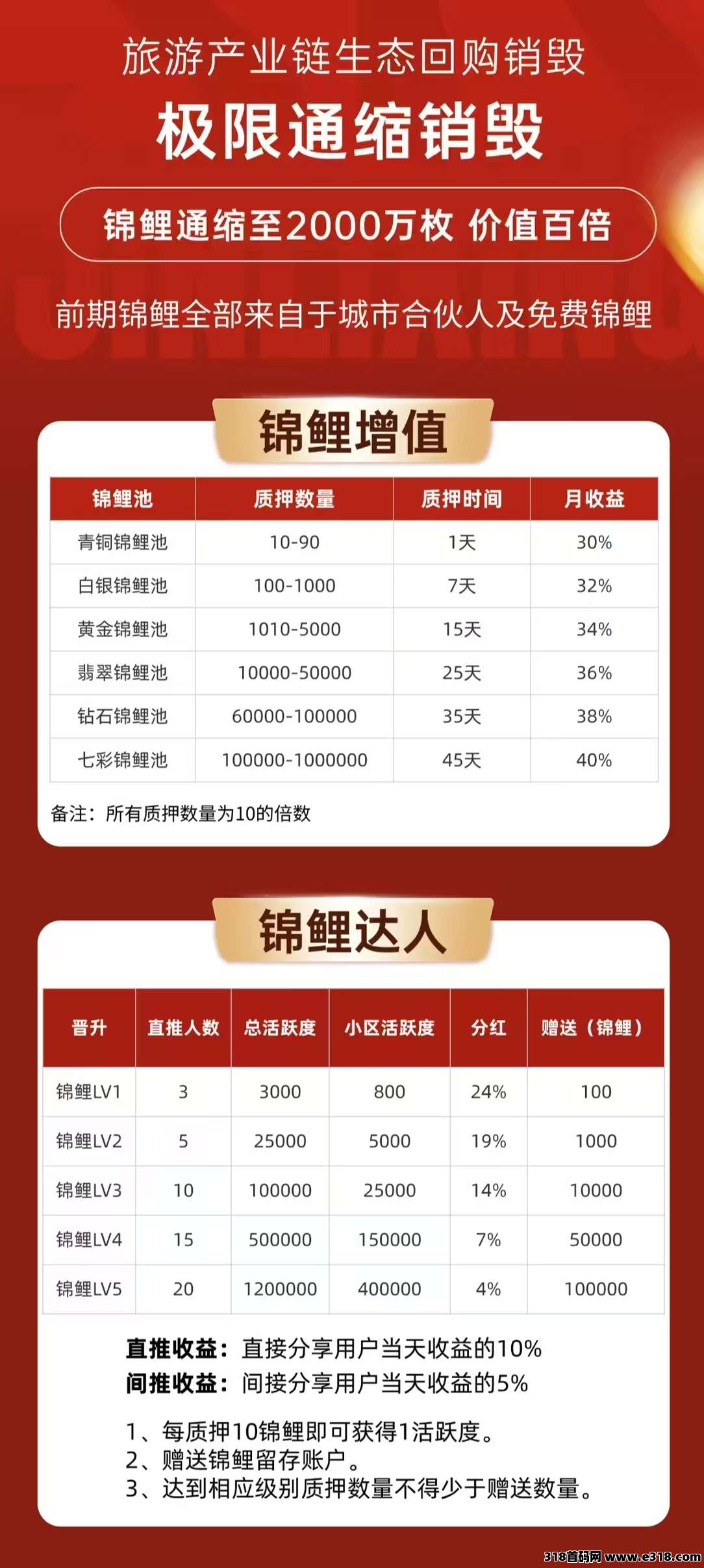 首码锦鲤行火爆上线，0撸新模式，实体公司