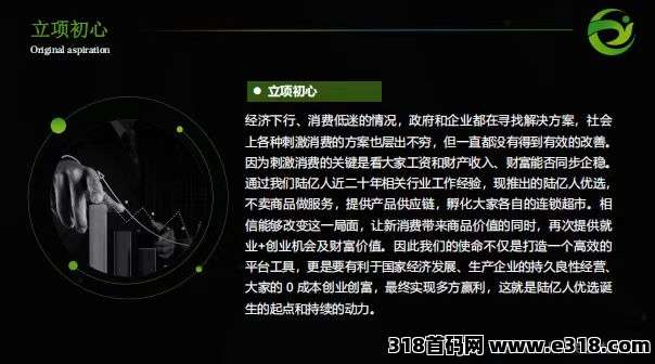 陆亿人优选超市，2025最新正规项目