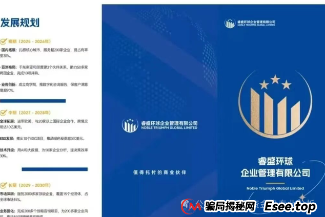关于“睿盛环球＂项目的情况我必须提醒大家警惕这个高风险资金盘。该项目前