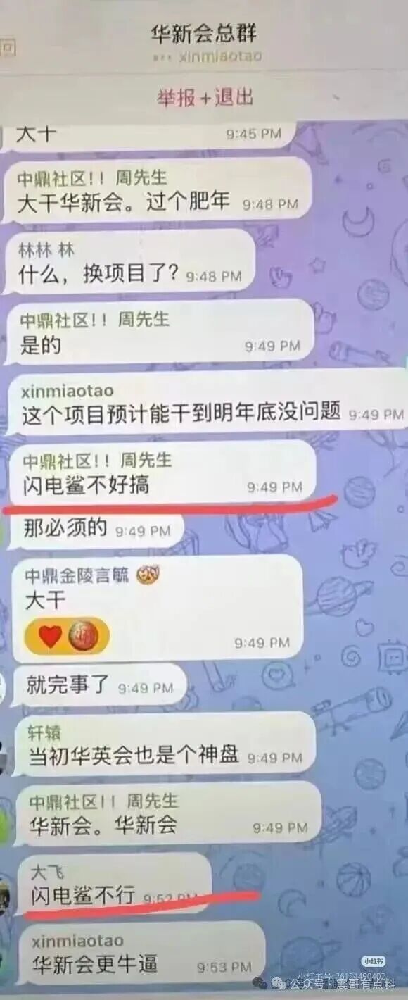 闪电鲨AI是资金盘骗局,VAX翻版,即将崩盘 闪电鲨AI是资金盘骗局,VAX翻版,即将崩盘