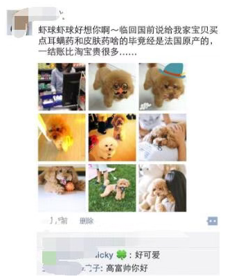 月入1万+的宠物社交小众偏门项目 月入1万+的宠物社交小众偏门项目