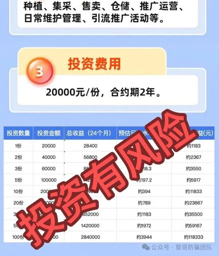 警惕！华尔街之路，Olga歐嘉这8个互联网项目都是诈骗，赶紧远离！
